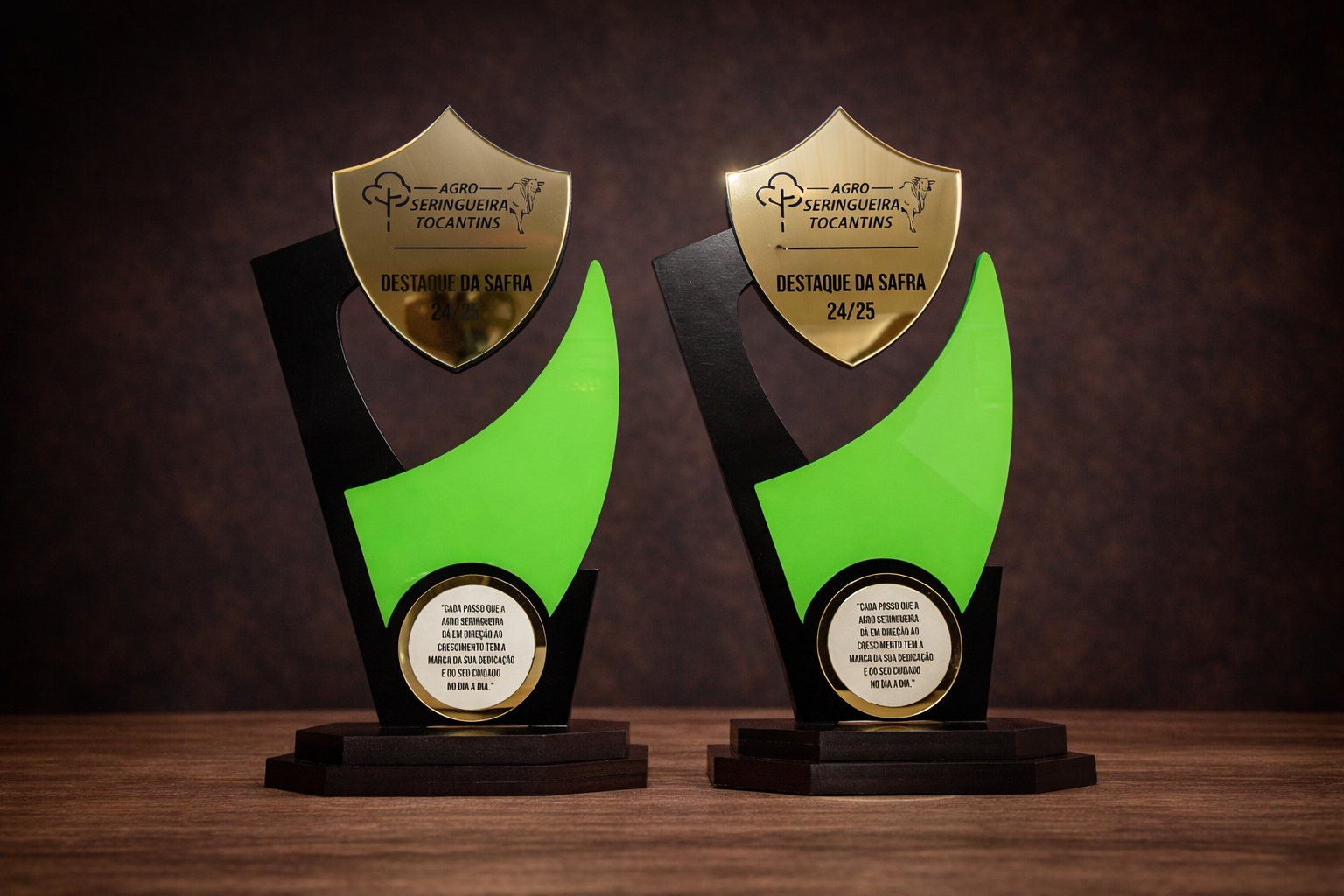 TROFEU SPORT: Estrutura forte em MDF com detalhes de alto relevo em Acrílico - Troféus - Imagem 5